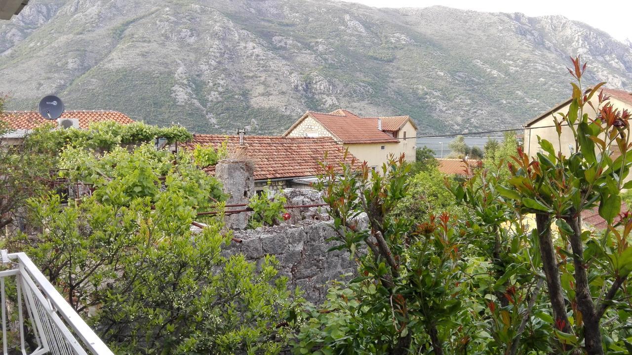Apartments Penovic Kotor Exterior foto