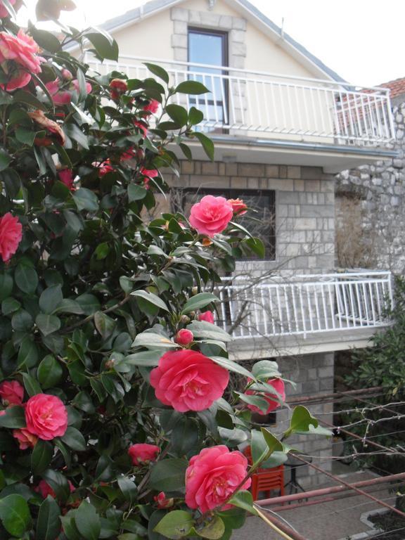 Apartments Penovic Kotor Exterior foto